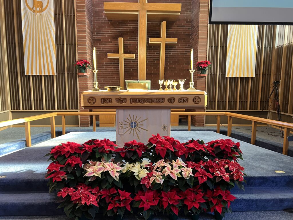 A church altar decorated with red and white poinsettias. Above the altar are three wooden crosses mounted on a brick wall. The altar is adorned with candles, chalices, and a gold Bible stand. Sunlight filters through, casting a warm glow.